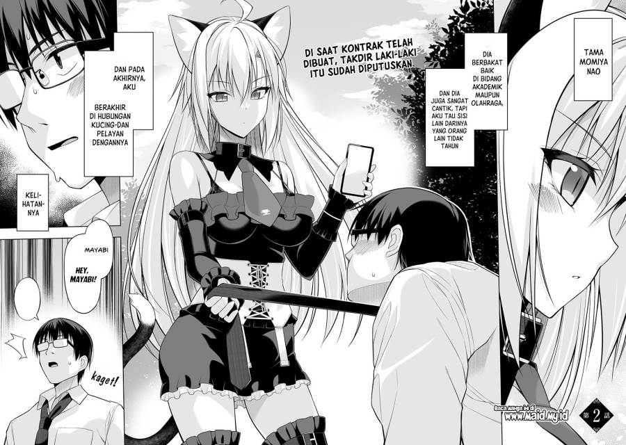 Panel 4