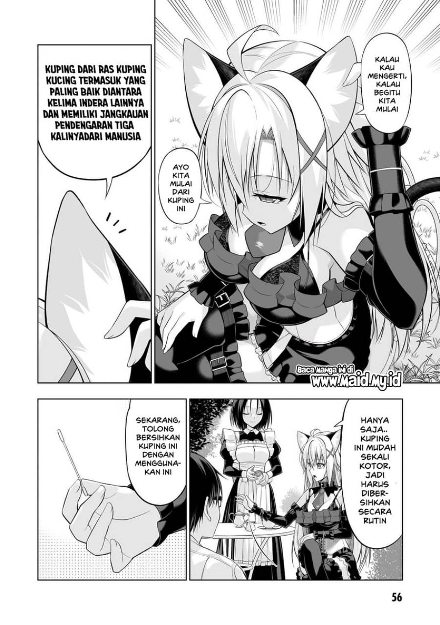 Panel 13