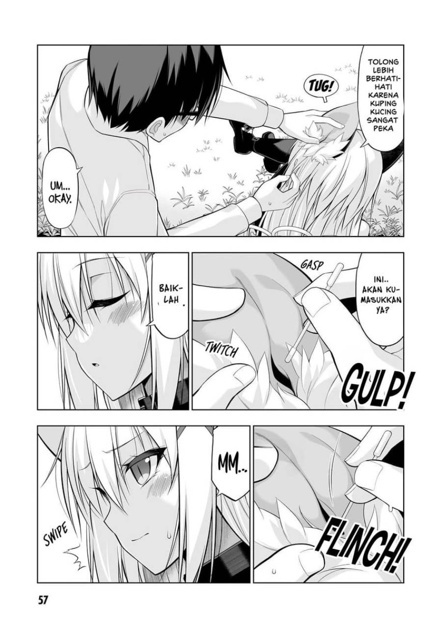 Panel 14