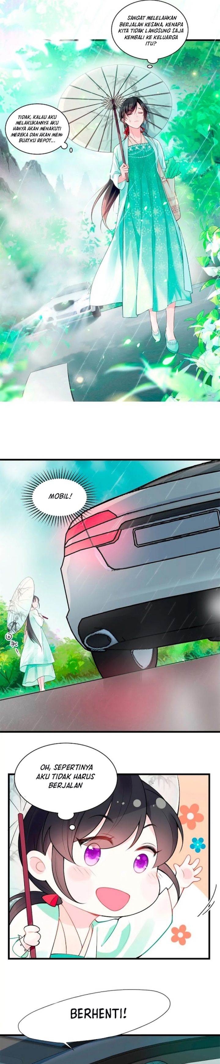 Panel 7