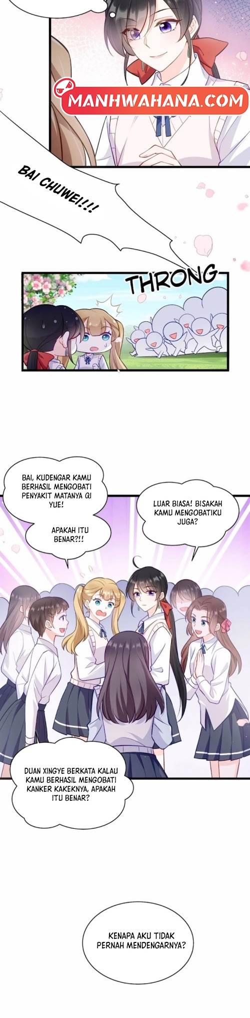 Panel 5