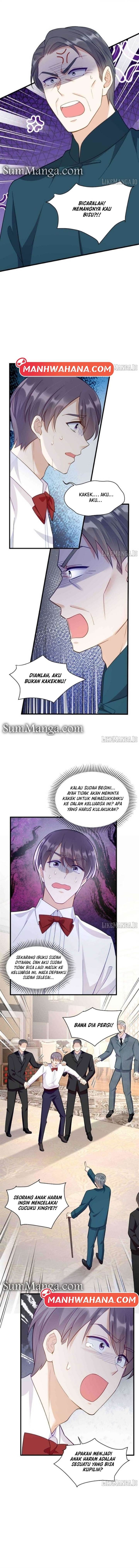 Panel 5