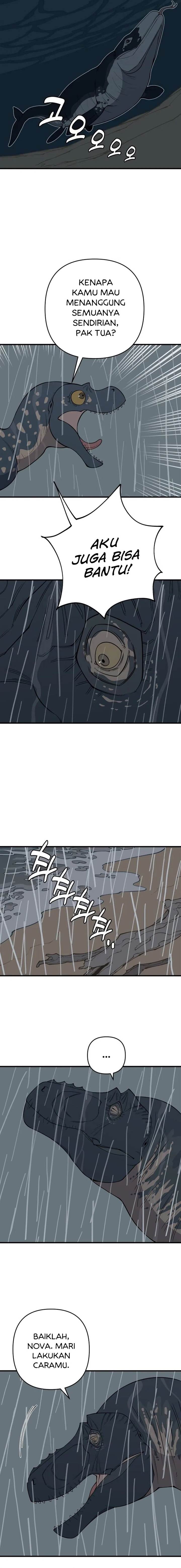 Panel 11