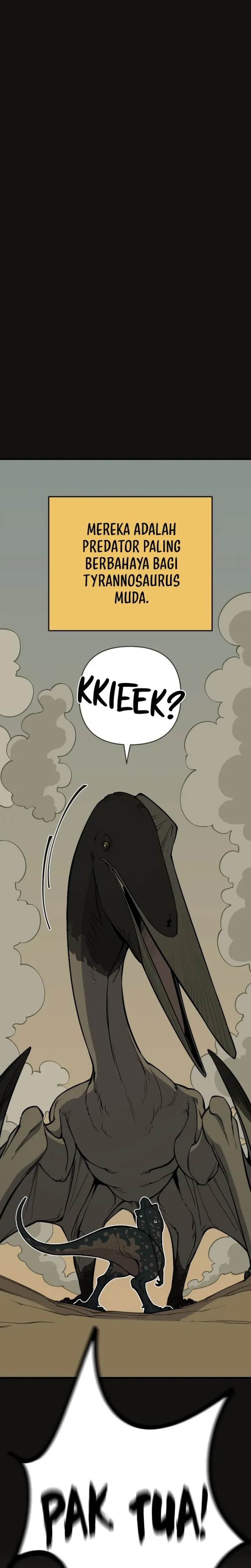 Panel 5