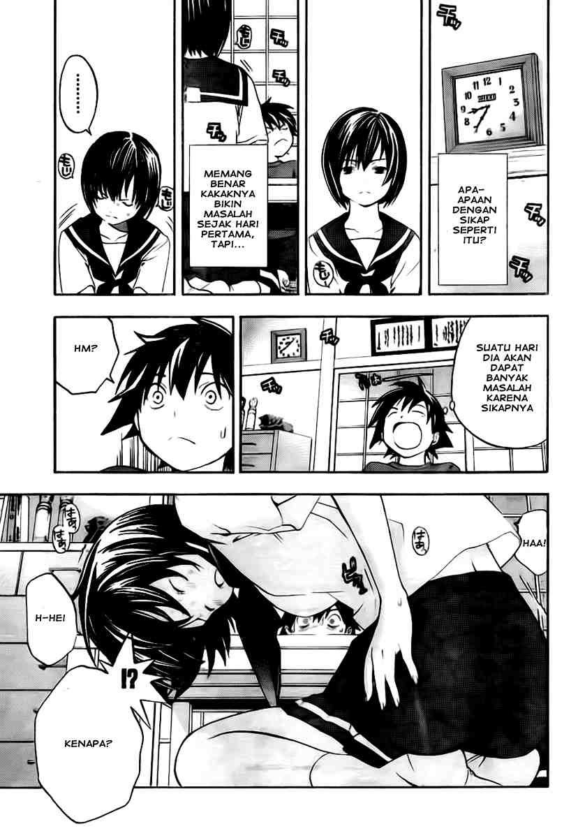 Panel 13