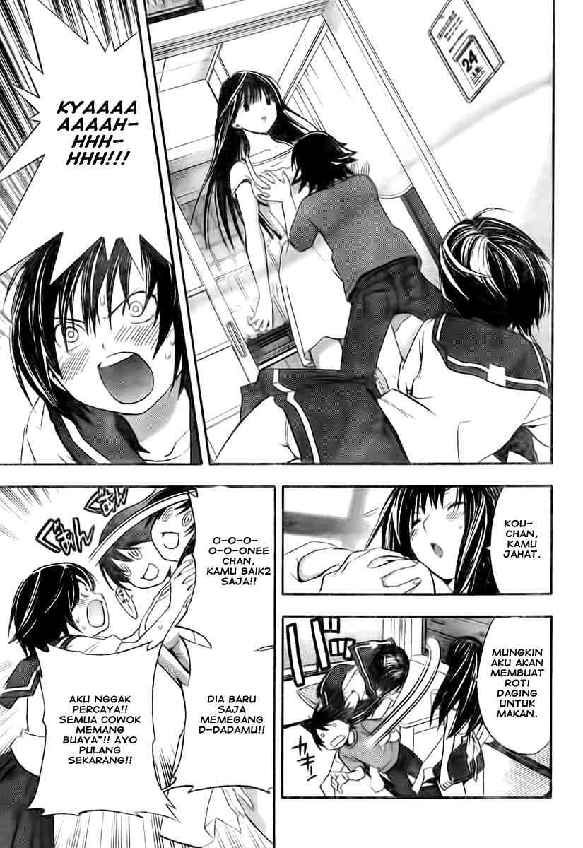 Panel 17