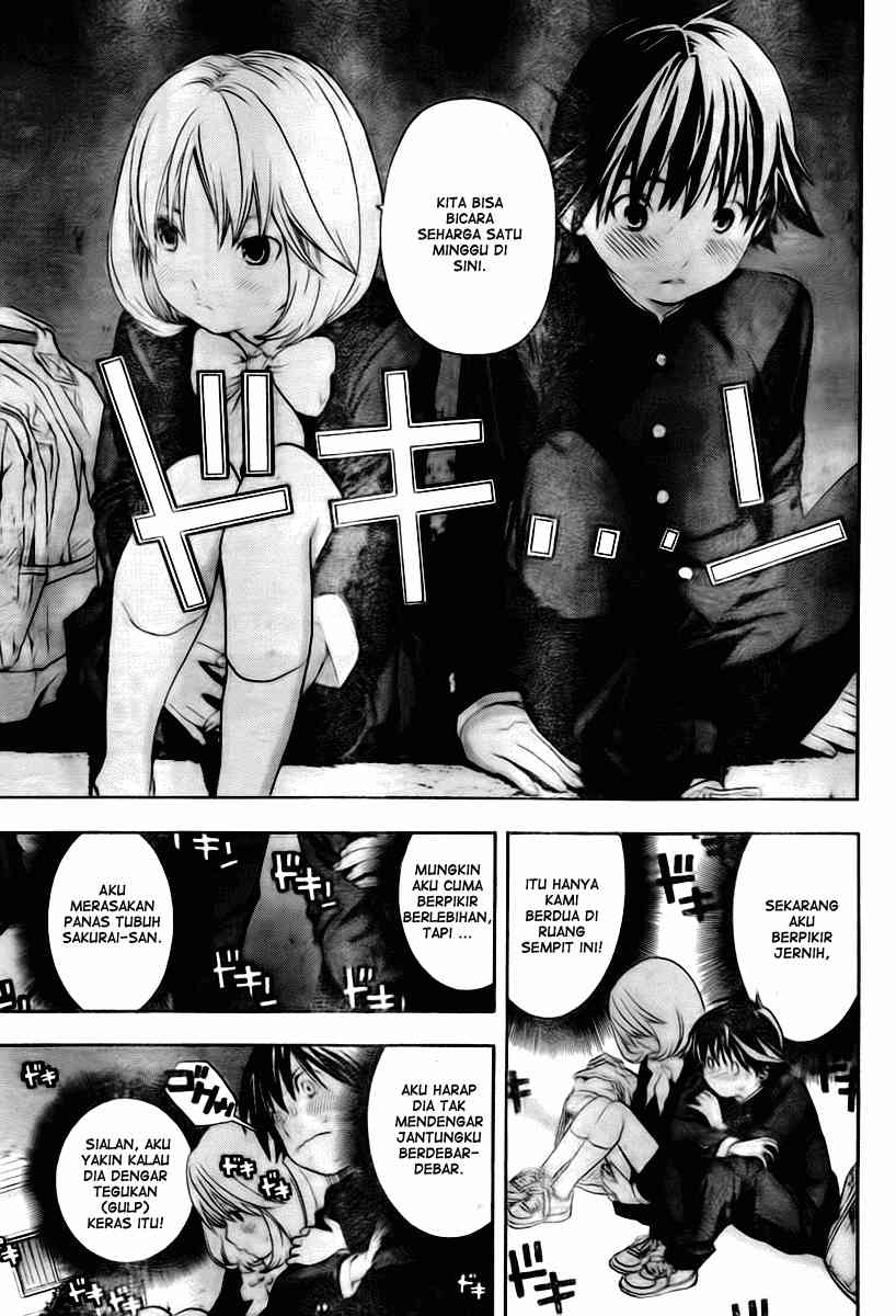 Panel 8