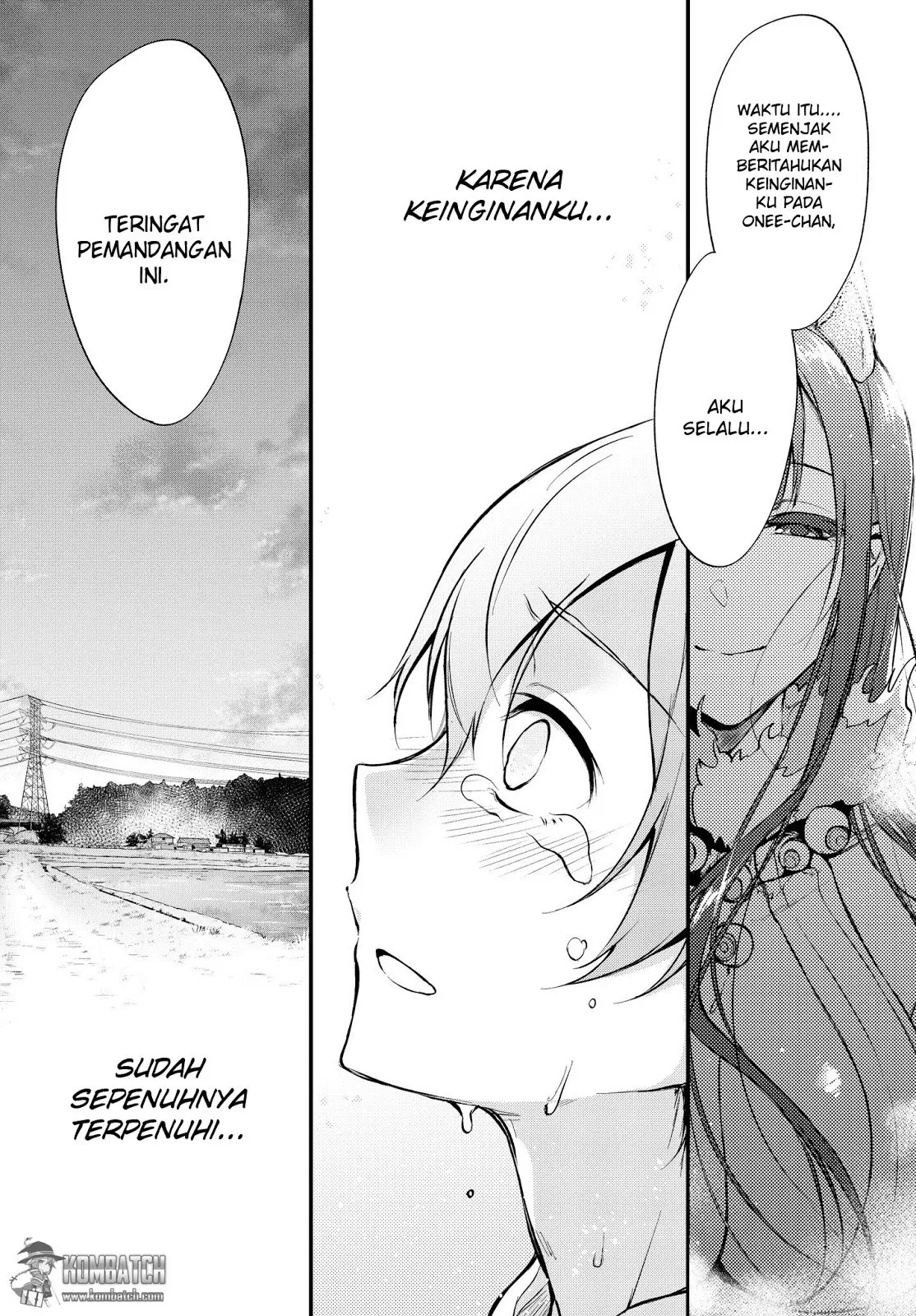 Panel 17