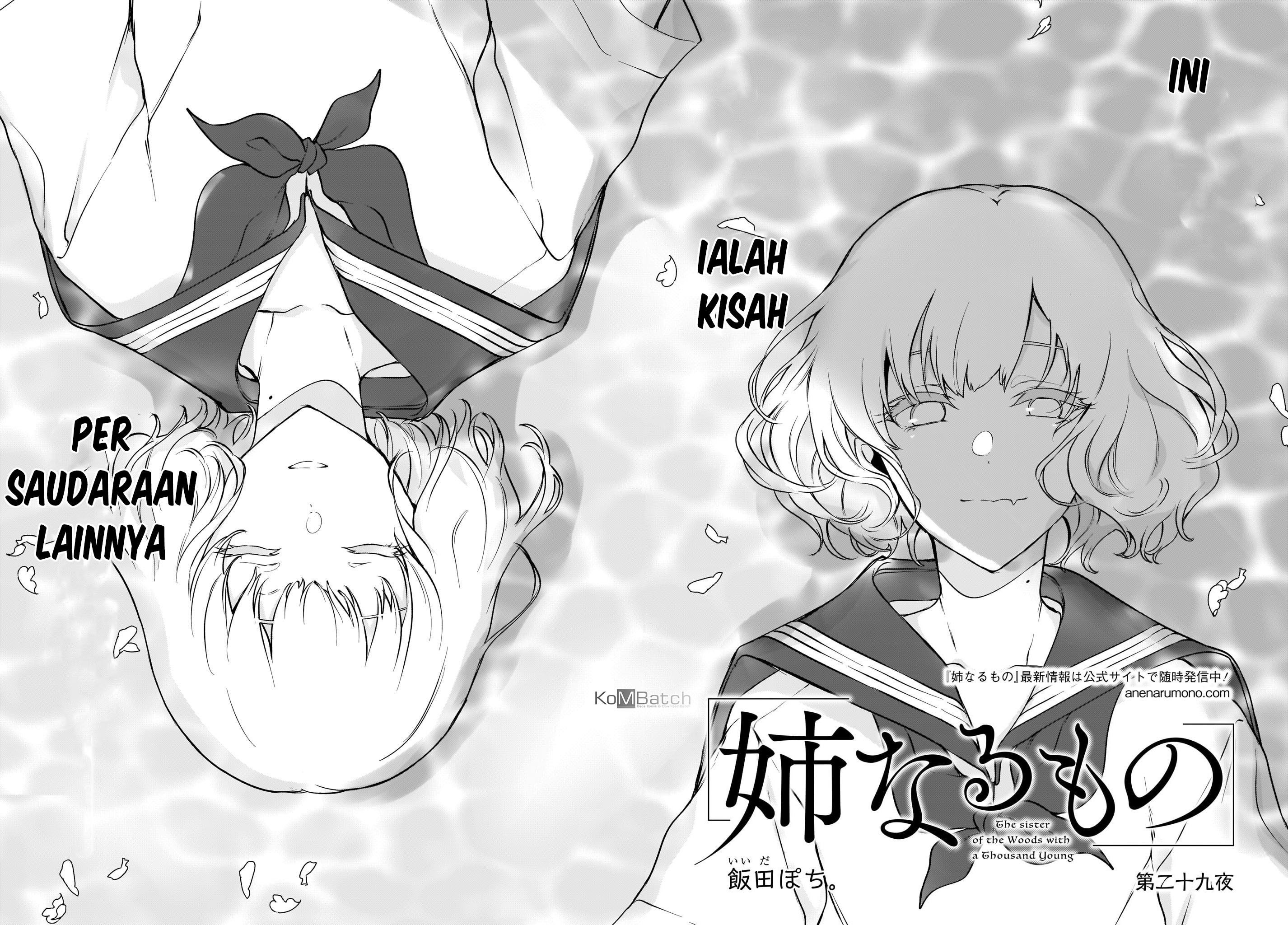 Panel 3