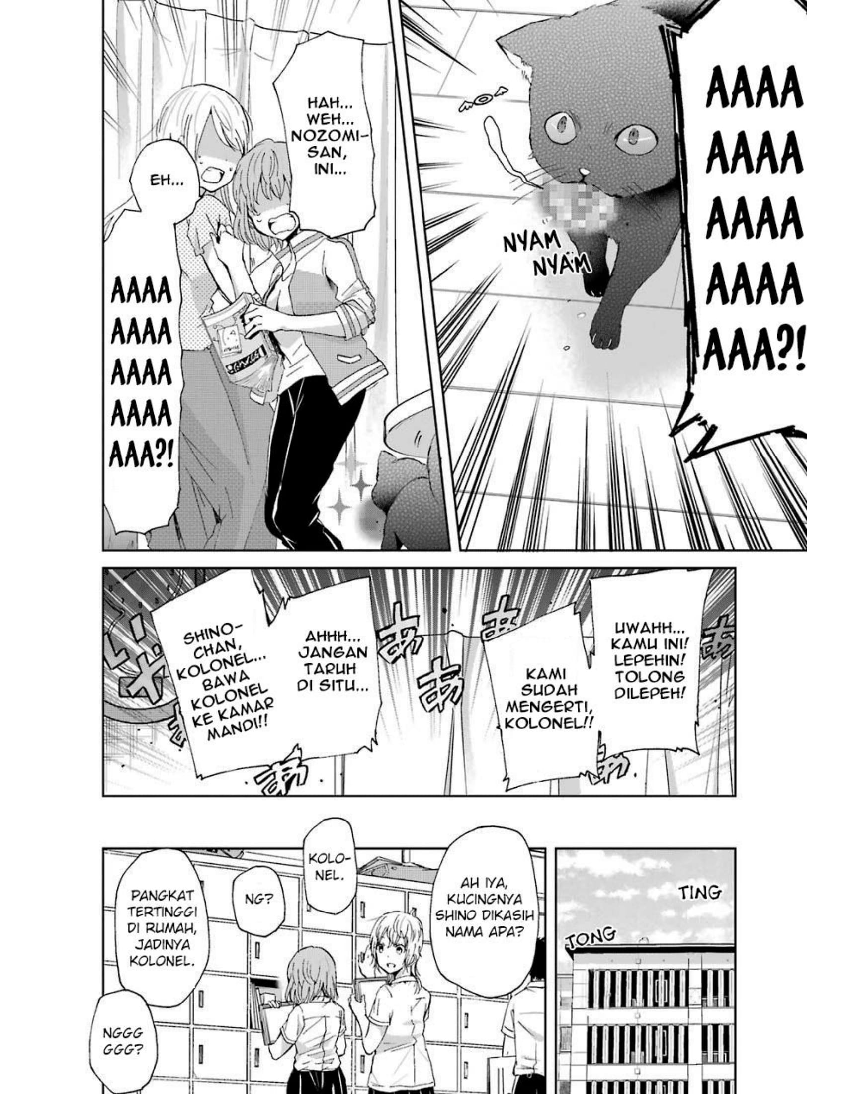 Panel 19