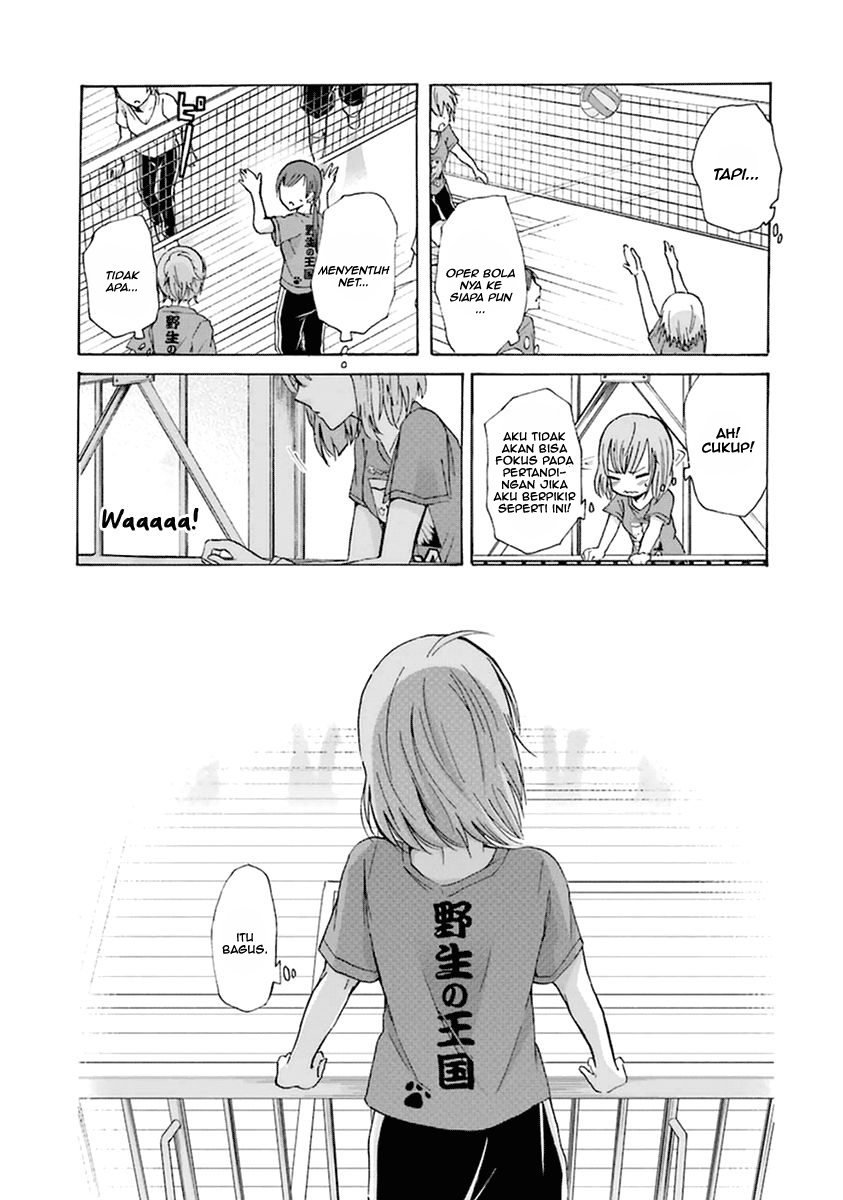 Panel 7