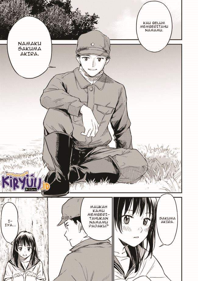 Panel 13