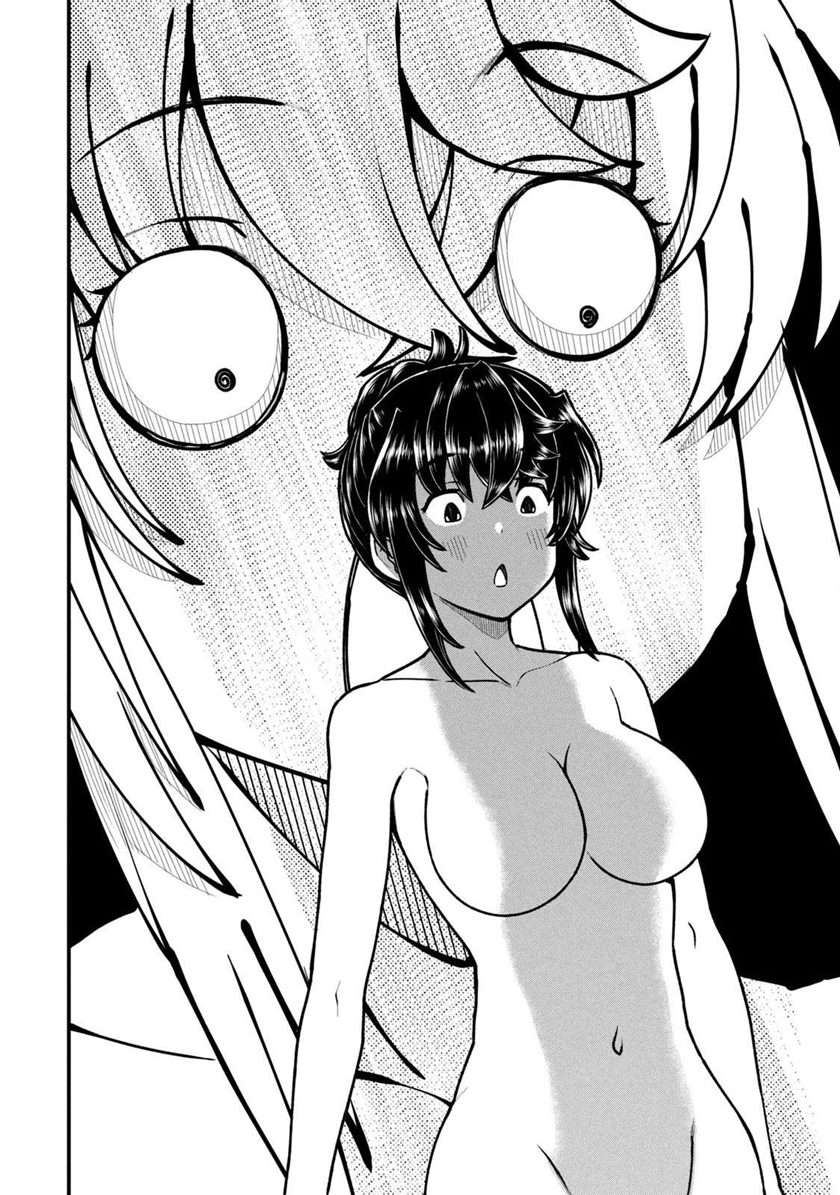 Panel 13