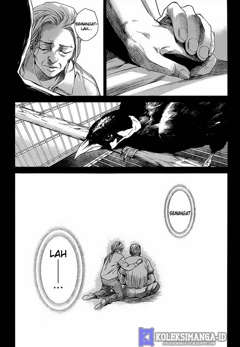 Panel 13