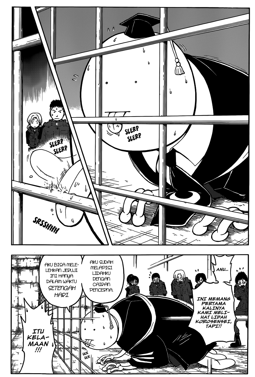 Panel 15