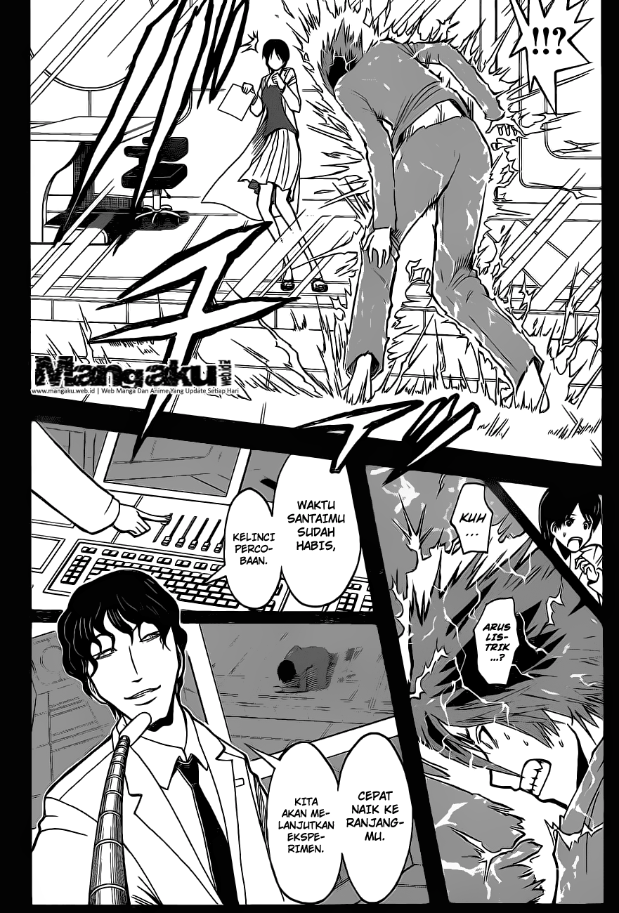 Panel 11