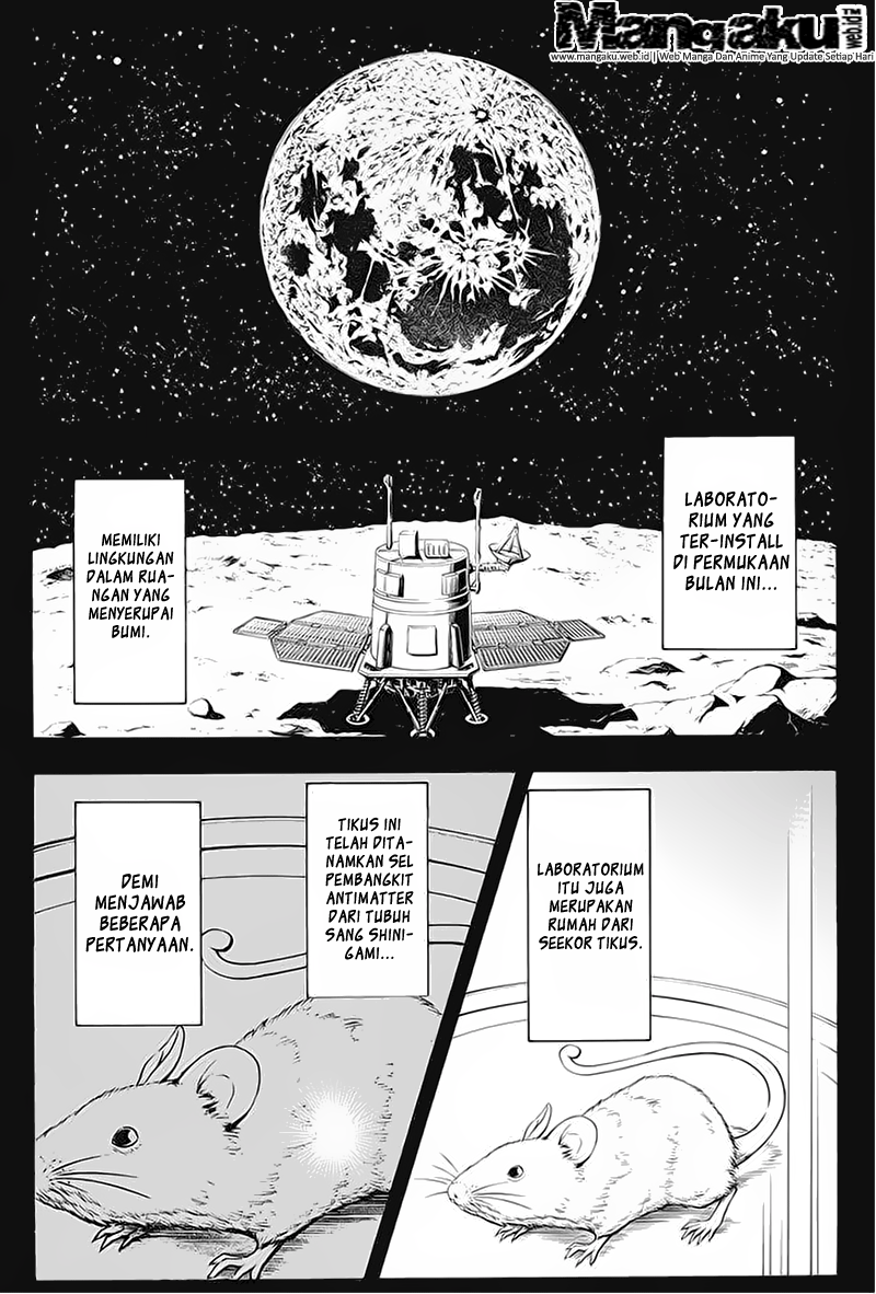Panel 15