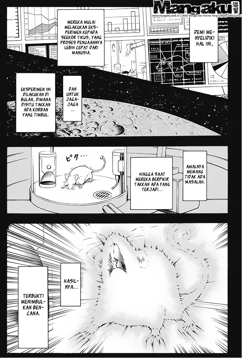 Panel 17