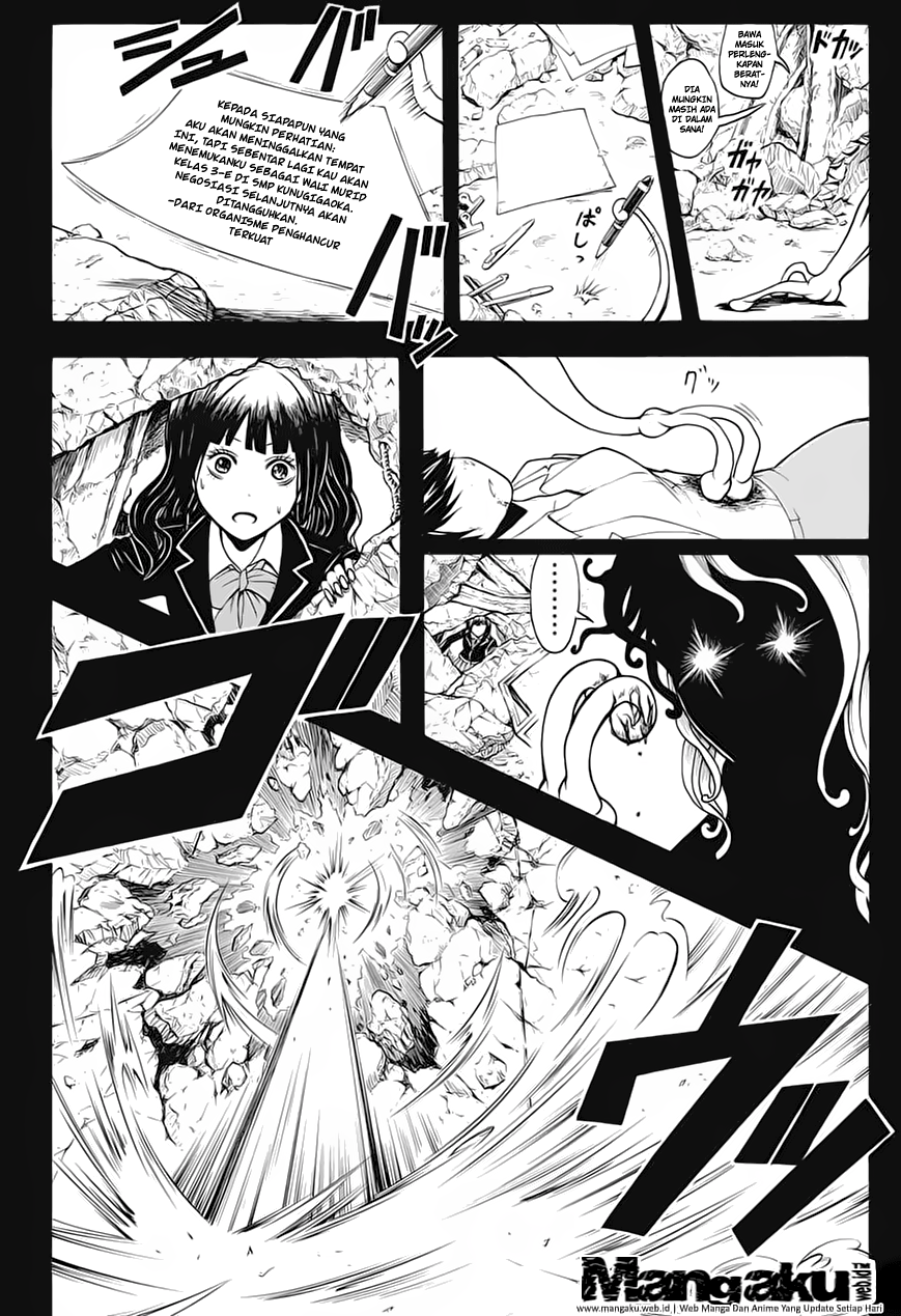 Panel 13