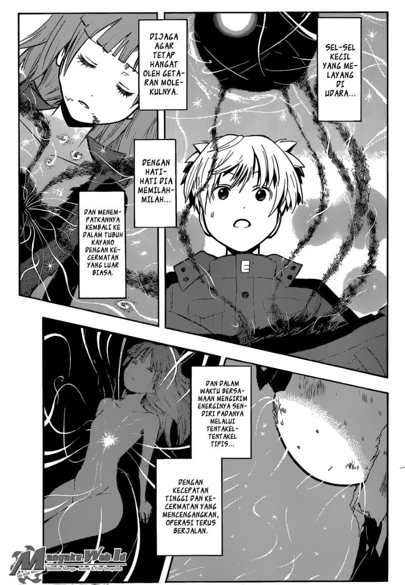 Panel 14