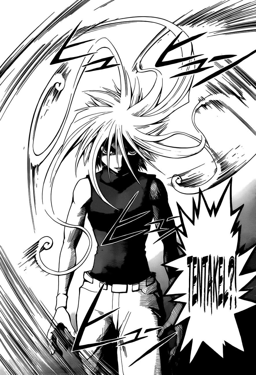 Panel 15