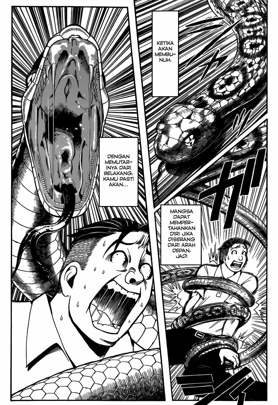Panel 15