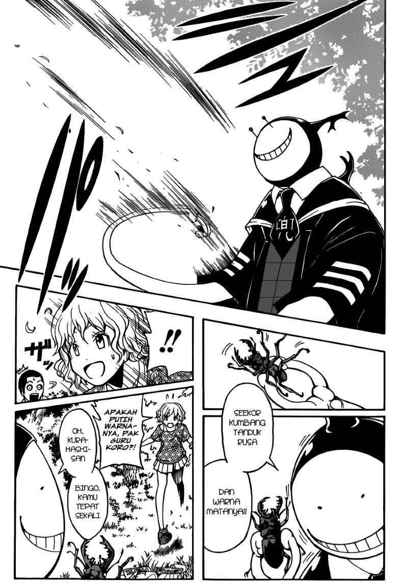 Panel 16