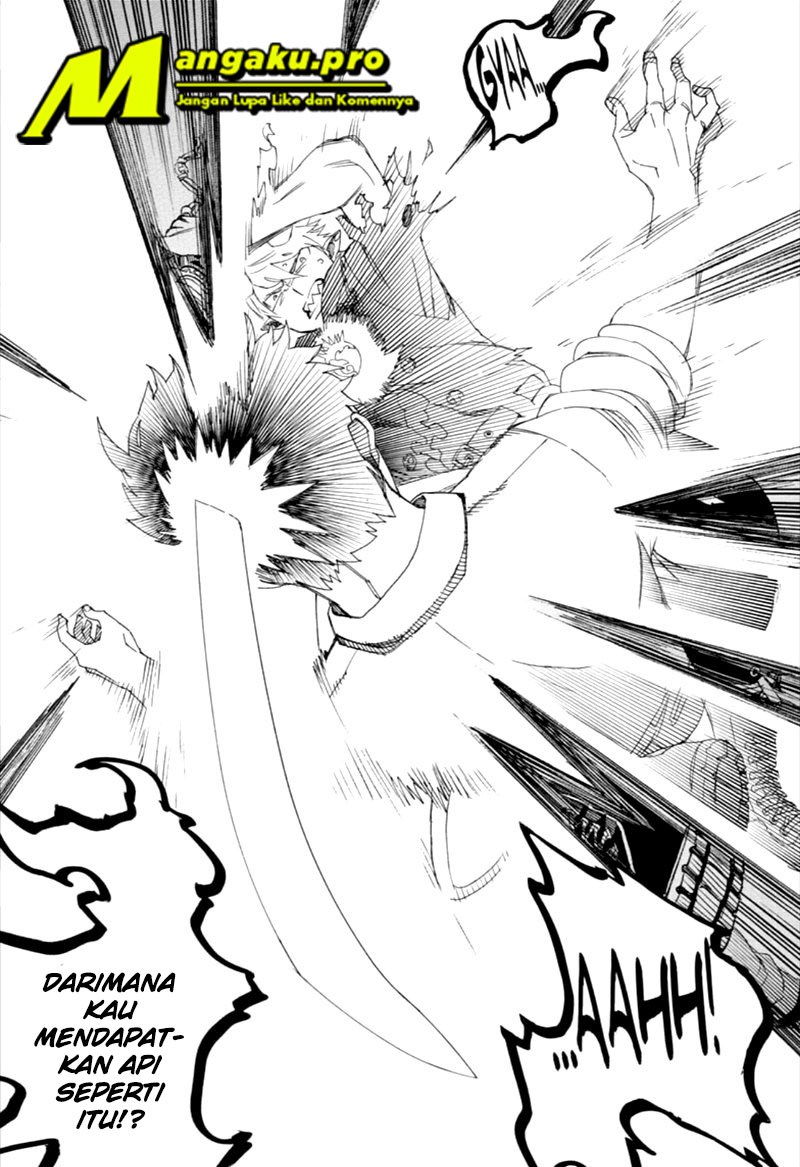 Panel 11