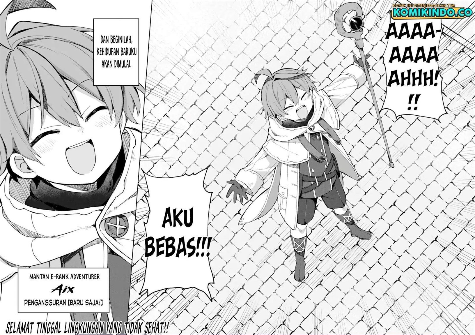 Panel 17