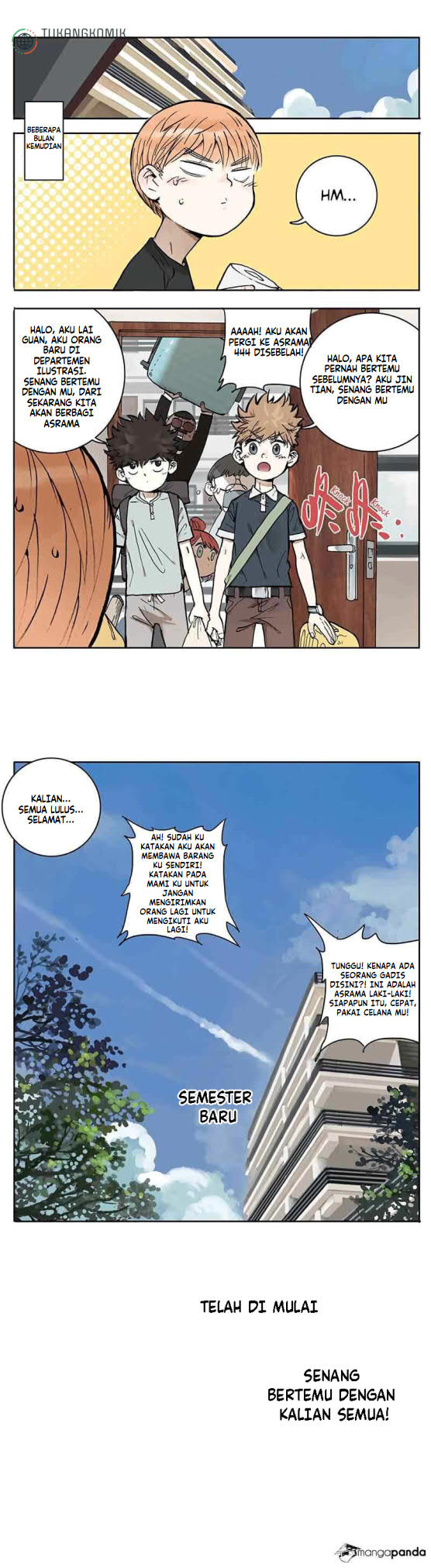 Panel 5